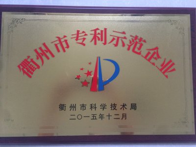 專利示范企業(yè)